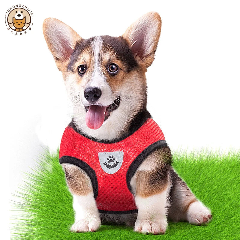 Adjustable Cat Harness Vest & Walking Leash – Polyester Mesh Dog Harness for Small & Medium Pets
