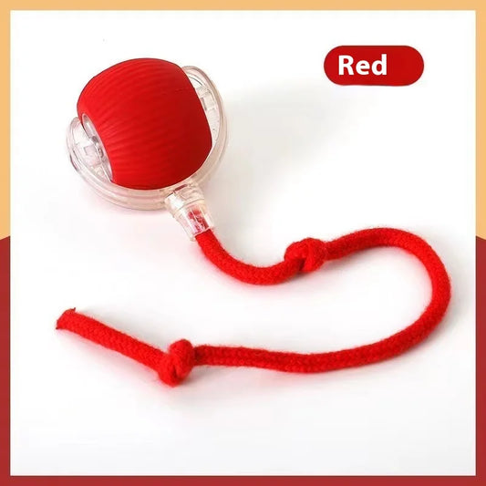 Rechargeable Interactive Rolling Ball Toy – Automatic Smart Pet Toy for Cats & Dogs