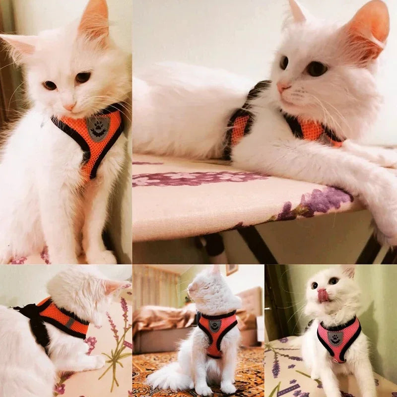 Adjustable Cat Harness Vest & Walking Lead – Polyester Mesh Dog Harness for Small & Medium Pets