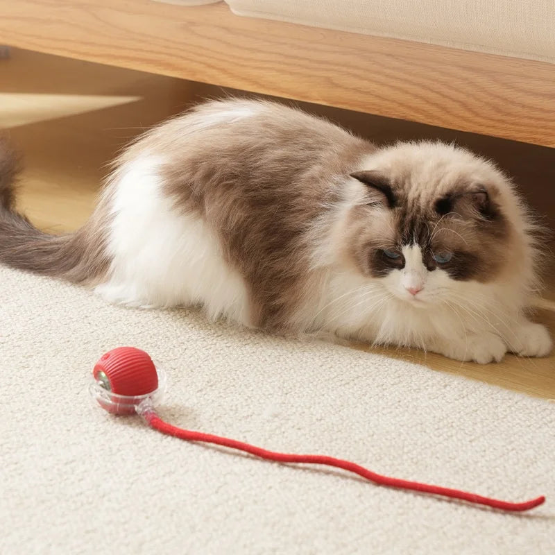 Rechargeable Interactive Rolling Ball Toy – Automatic Smart Pet Toy for Cats & Dogs