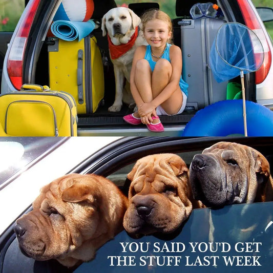 Pet Dog & Cat Car Seat Belt & Safety Harness – Travel Protector with Breakaway Dog Leash