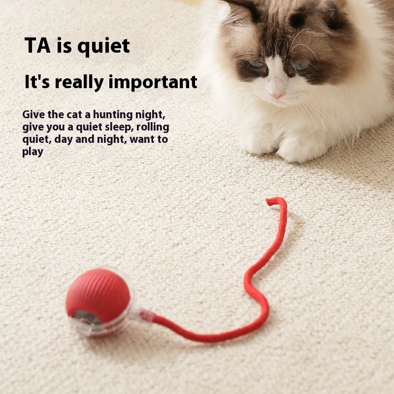 Rechargeable Interactive Rolling Ball Toy – Automatic Smart Pet Toy for Cats & Dogs