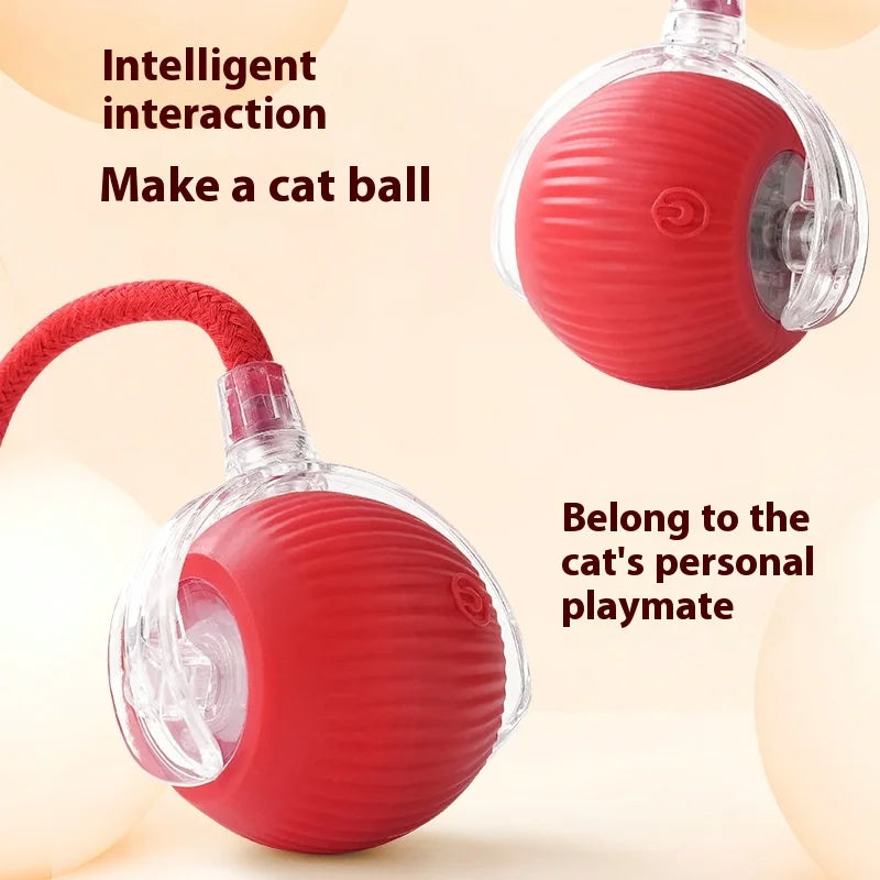Rechargeable Interactive Rolling Ball Toy – Automatic Smart Pet Toy for Cats & Dogs