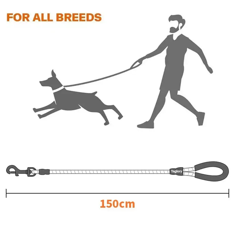 Reflective Dog Leash – Durable Traction Rope with Padded Handle for Small to Large Dogs