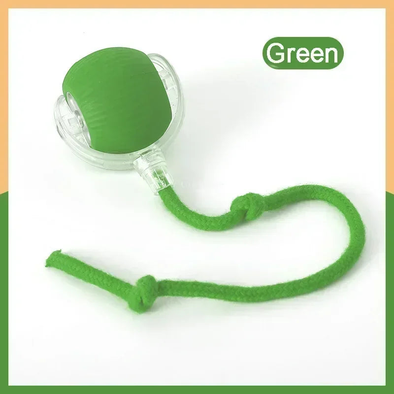Rechargeable Interactive Rolling Ball Toy – Automatic Smart Pet Toy for Cats & Dogs