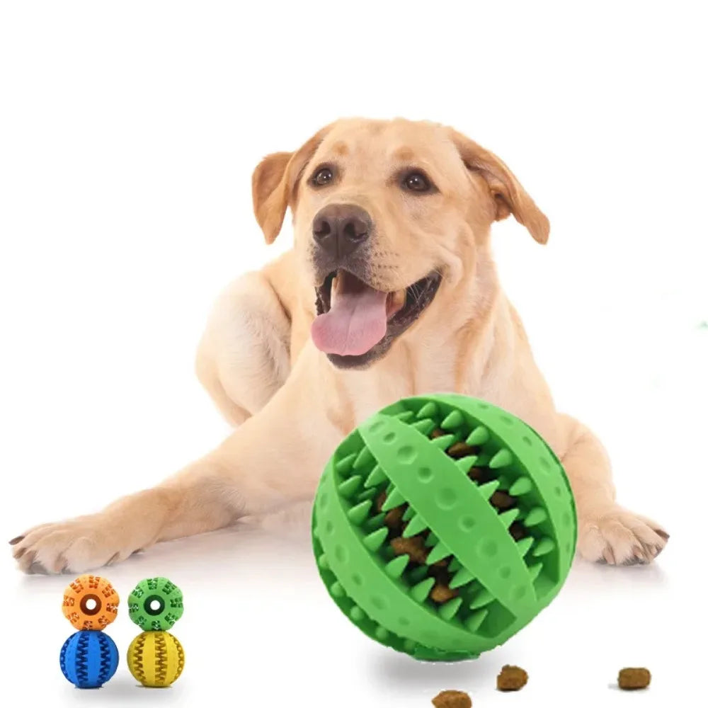 Dog Ball Toy for Small Dogs – Interactive Chew & Tooth Cleaning Rubber Ball
