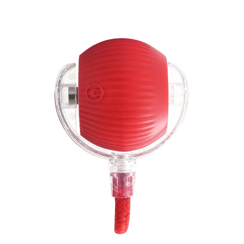 Rechargeable Interactive Rolling Ball Toy – Automatic Smart Pet Toy for Cats & Dogs