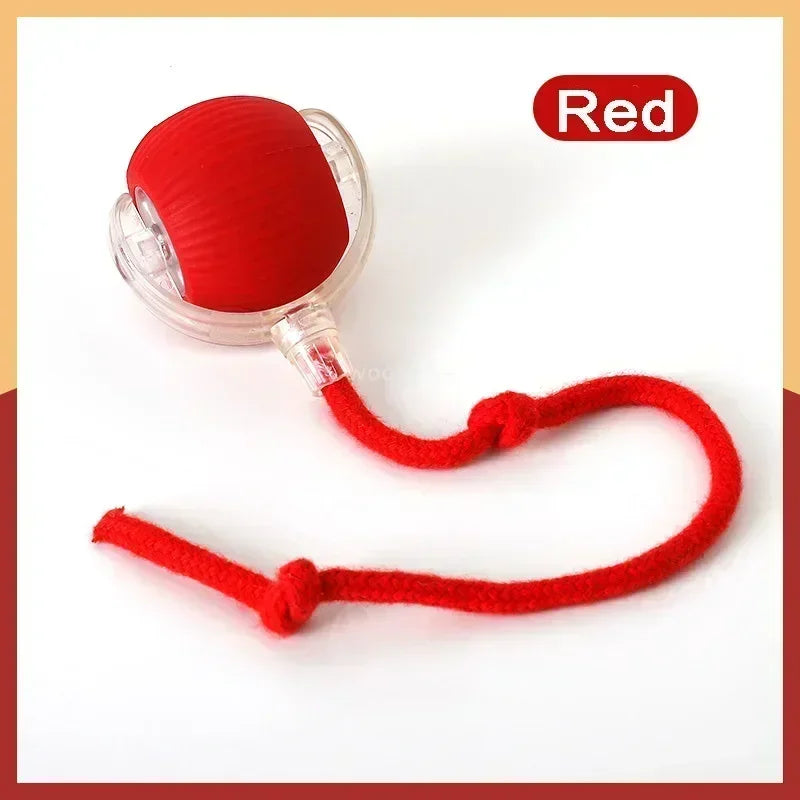 Rechargeable Interactive Rolling Ball Toy – Automatic Smart Pet Toy for Cats & Dogs