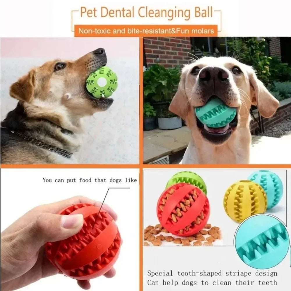 Dog Ball Toy for Small Dogs – Interactive Chew & Tooth Cleaning Rubber Ball