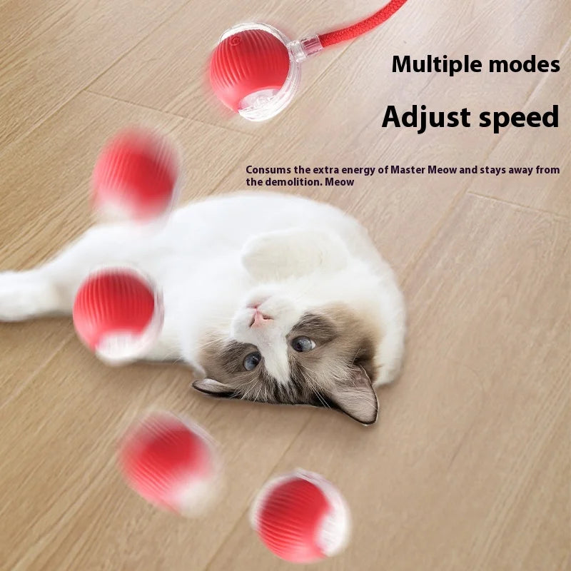 Rechargeable Interactive Rolling Ball Toy – Automatic Smart Pet Toy for Cats & Dogs