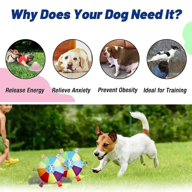 Funny Rainbow Plush Flying Saucer Dog Toy – Interactive Outdoor Chew & Training Disc